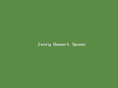 Ivory Desert Spoon